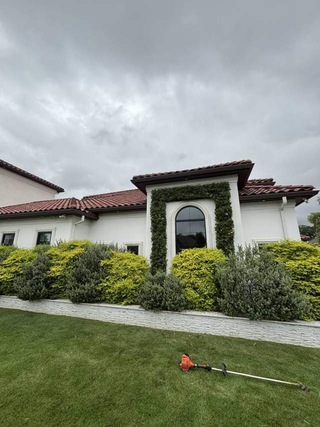 Trimmed hedges