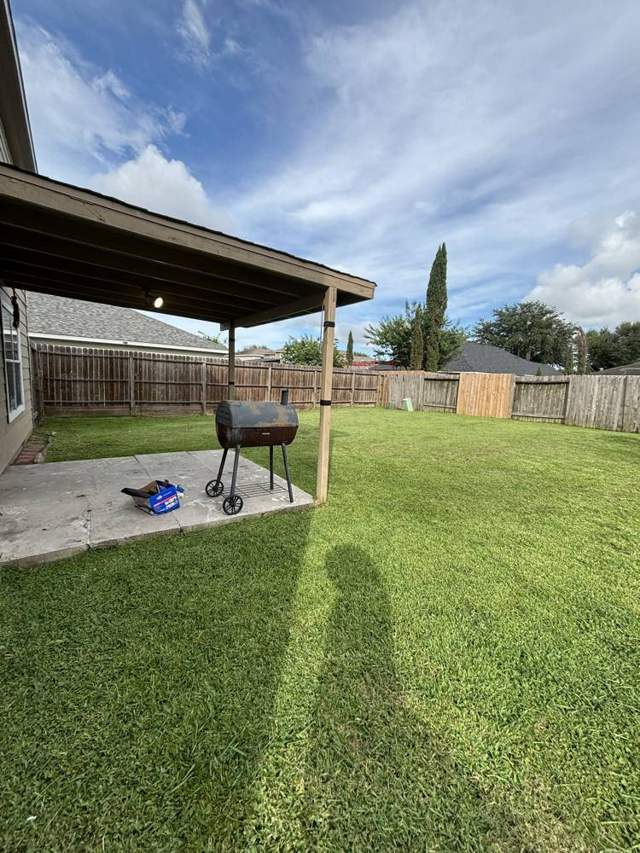 Fresh cut backyard